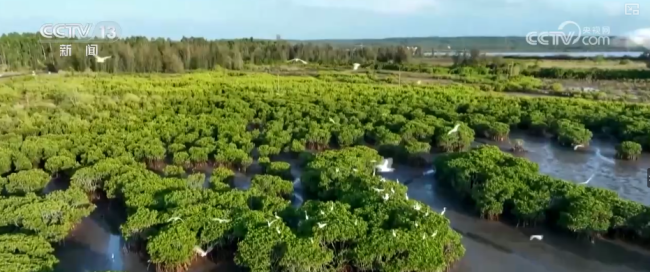 “十五五”这么干 宏观政策将更积极 挖潜与协同并进