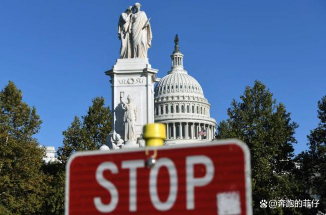 评论员：美国航空业接近崩溃状态 停摆引发航班瘫痪