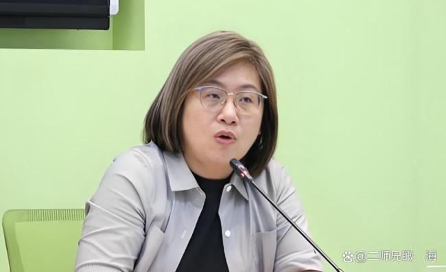 黑熊变狗熊？“台独战将”沈伯洋末路狂奔的“危险游戏”！