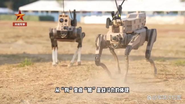登陆演习中的“机器狼”有何优缺点 无人装备改变战场规则