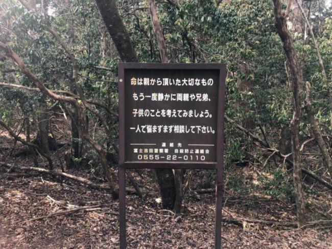 中国女生失联前曾打听日本自杀森林 多方力量紧急寻人