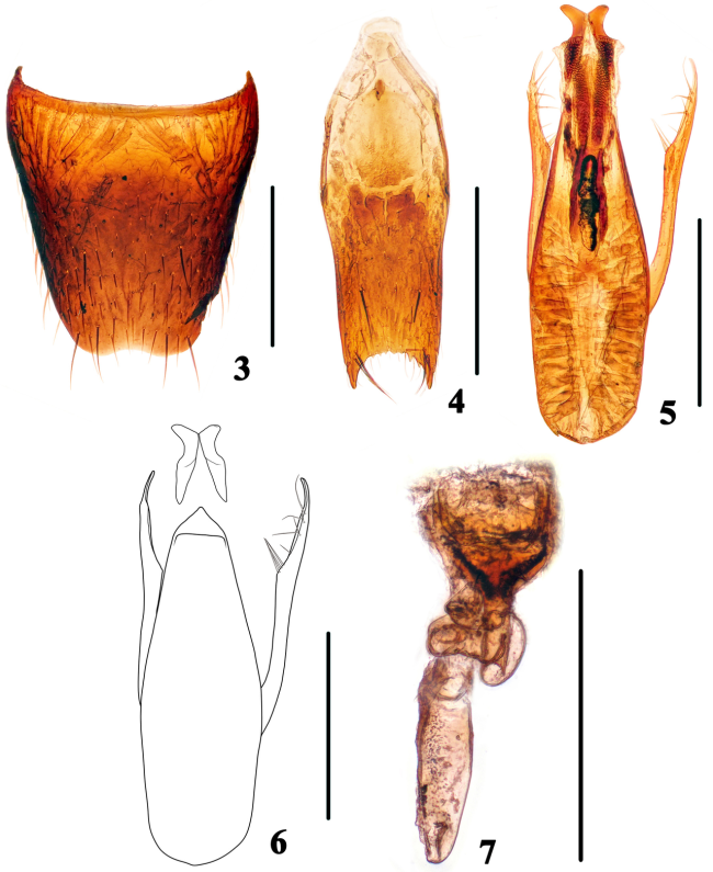 浙江丽水发现两个全球新物种 生态多样性见证