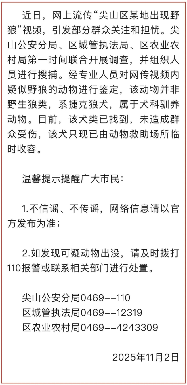 黑龍江一地出現(xiàn)野狼?當(dāng)?shù)鼗貞?yīng)