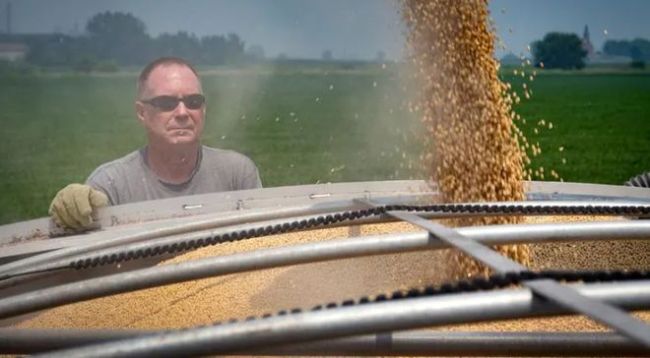 孙玉良：美国农民呼唤中美关系稳定