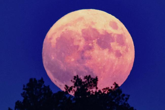 就在今晚,年度最大“超级月亮