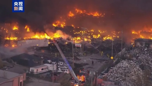 下半年中小学教师资格考试 明天可查笔试成绩可报名面试