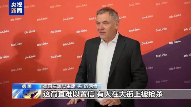 德左翼党主席呼吁德对以施压 推动落实“两国方案”