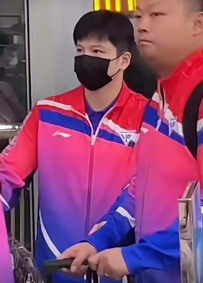 樊振东冲击个人全运第六金 新周期的传承与挑战