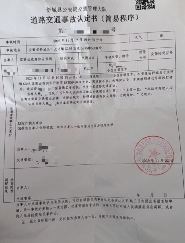 特斯拉撞死闯国道野猪 车主被判全责 操作不当引发争议