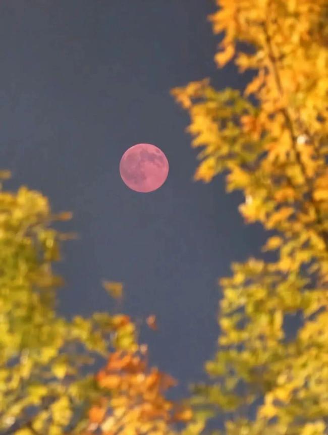 超级月亮惊艳大图 京城拍客捕捉壮观瞬间