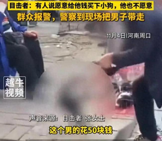 男子50元买狗退款遭拒当街摔死狗 因狗“不活泼”引发争议
