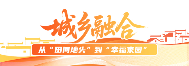 在这里,看见接续奋斗的足迹