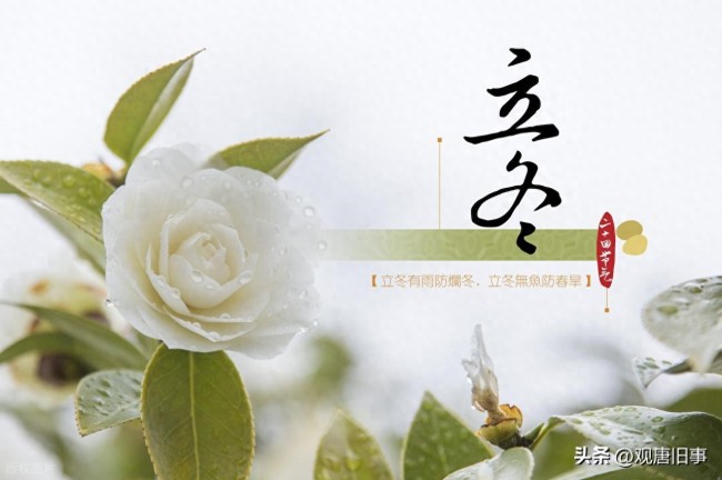 立冬宜“懶”，這份立冬養(yǎng)藏攻略請(qǐng)收好！