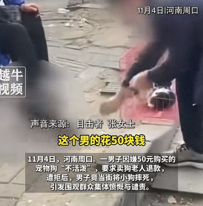 男子50元买狗退款遭拒摔死狗 当街施暴引众怒