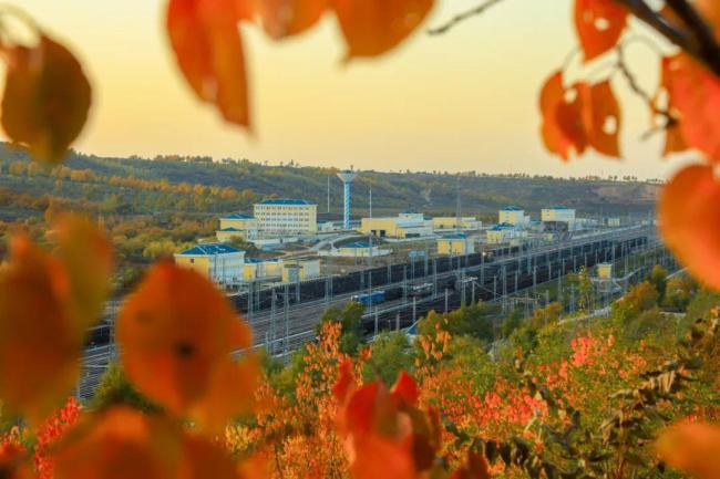 當列車遇上深秋,畫麵絕美!