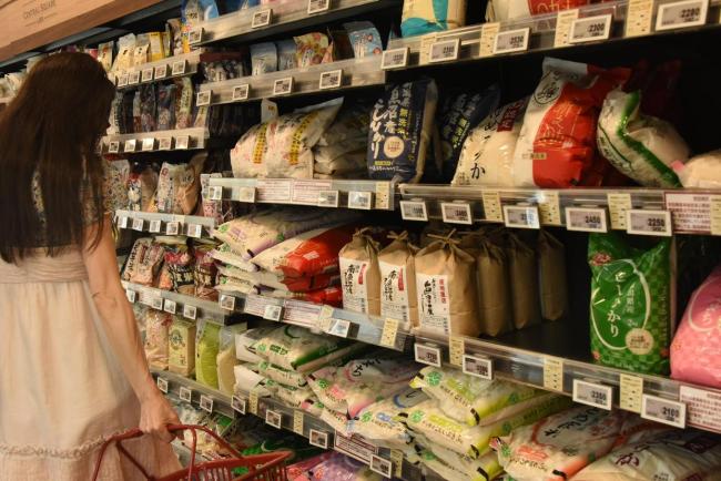 高市早苗迎来就职首相后首次国会辩论 保守政策引发争议