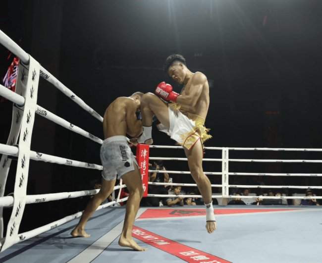 徐元庆回应狼王：你在我这就是小狼崽子！霸气宣言迎战不败神话