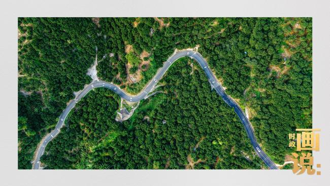 時(shí)政畫說(shuō)丨柚見豐年