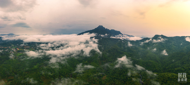 时政新闻眼丨一年之内再赴海南，习近平重点关注这件大事