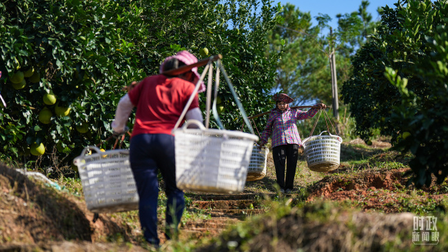 时政新闻眼丨“十五五”如何走在前、作示范、挑大梁？习近平为广东发展作出战略指引