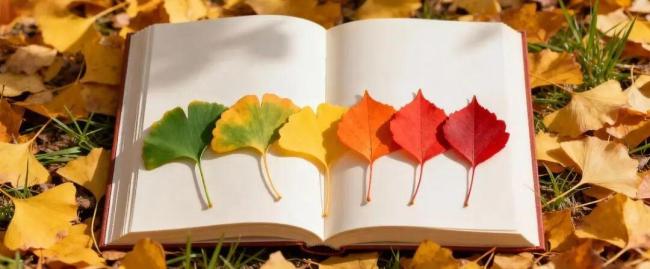 北京下周两次冷空气候场中,夜间最低气温将下降至1℃ 寒意增浓注意保暖