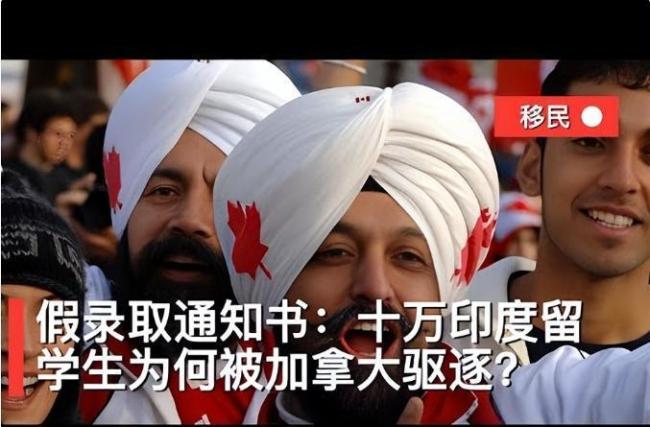 加拿大严打印度留学签 信任破产引发政策收紧