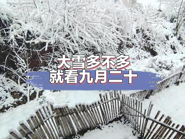 “大雪来不来,就看九月二十”有道理吗? 农谚里的冬季预测