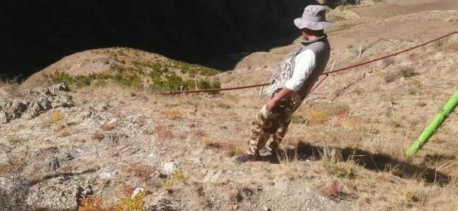 在生态脆弱的高原栽植苗木1.2亿株,西藏做对了什么? 绿化奇迹背后的秘密