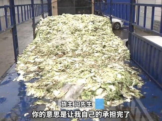 货车司机拉30多吨白菜被欠9500运费 货主赖账引争议