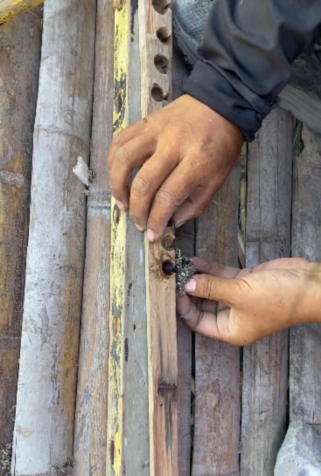 女孩勇闯海岛求生赛获季军 35天减重28斤