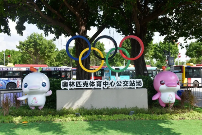 大湾鸡抢救现场 从乌龙到顶流