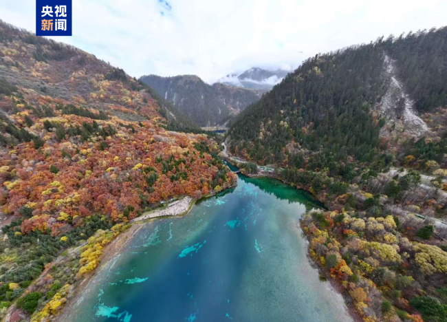 "天-空-地"監測顯示九寨溝遺產地生態恢複成效顯著