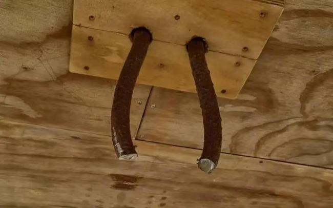 新西兰1吨重纯铜大钟被偷 友谊象征遭窃引发震惊