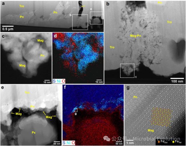 嫦娥五號發(fā)現(xiàn)撞擊成因磁鐵礦：月球磁記錄再添關(guān)鍵載體 揭示月球磁場新線索