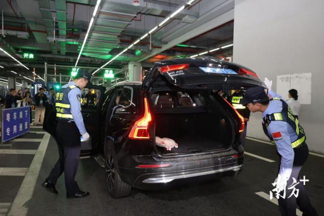 “粤车南下”今起落地实施 大湾区互联互通新台阶