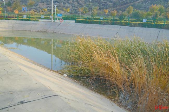 母亲为见义勇为儿子争取公开报道 心结成盼头