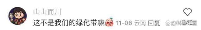 50块1斤的网红菜竟是云南人的绿化带！