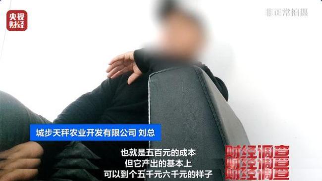 “杀人蜂”遭滥养 有人赚得盆满钵满 总台曝光