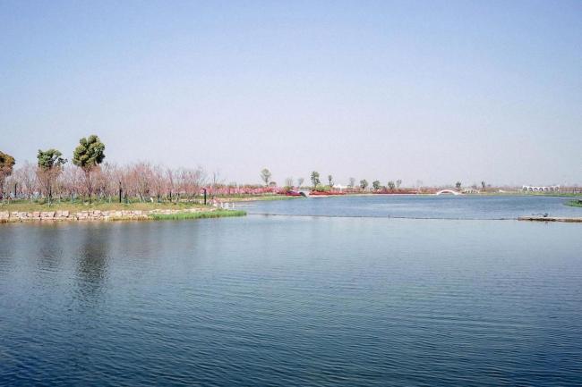 宠物狗进景区被收门票？景区回应 设有狗狗专属项目