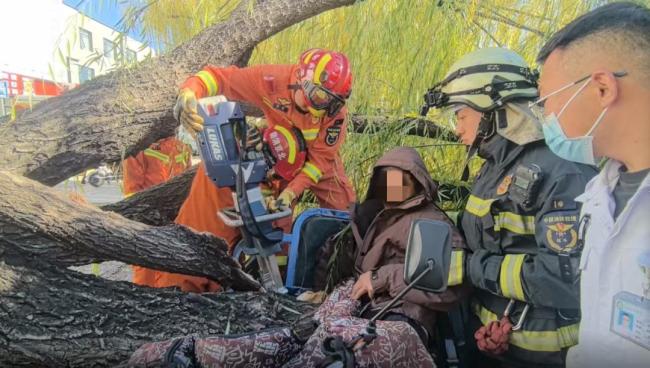 男子被倒樹砸中懷柔消防緊急救援 強(qiáng)風(fēng)天氣出行需謹(jǐn)慎