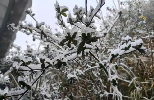 广东局地发寒冷橙警 粤北现雾凇冰挂