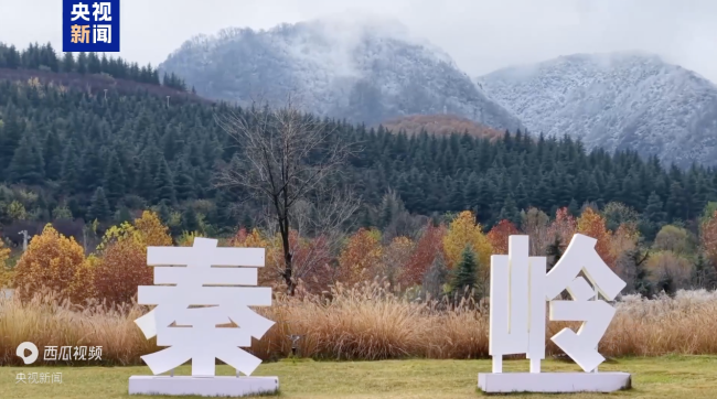 秦嶺雪后出現(xiàn)夏秋冬“分層”美景！