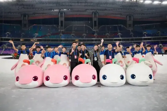 女性为何抢着为“大湾鸡”花钱 情绪消费新宠