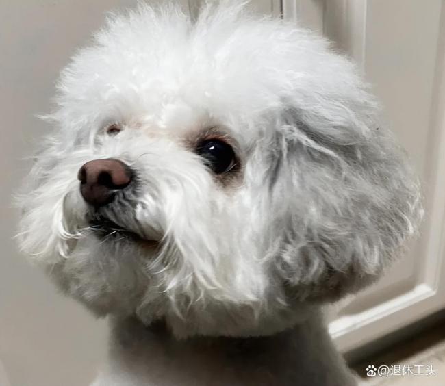 建议不要在网上买太便宜的水果 谨防网购陷阱