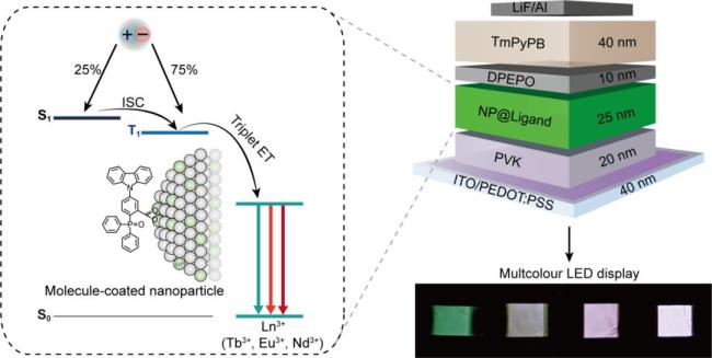 黑龙江大学首篇《Nature》诞生 绝缘体发光新突破