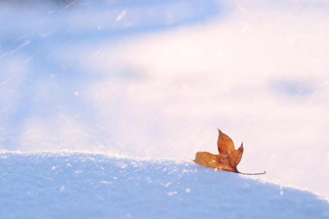 今日小雪 要做這些事 享受冬日寧靜與溫暖
