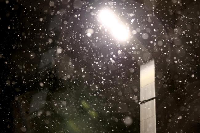 今日小雪！气寒将雪，万物藏序，冬日安好 牢记1不吃2不洗3不晚