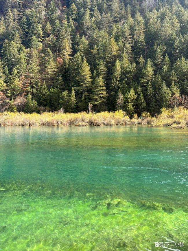 九寨沟下雪美到挪不开眼 冰雪与彩林的绝美碰撞