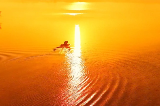 冬日平天湖上演水墨幻境 晨霧泛舟如行畫中