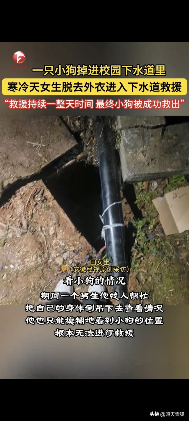 小狗掉下水道 女生脱衣下水救援!